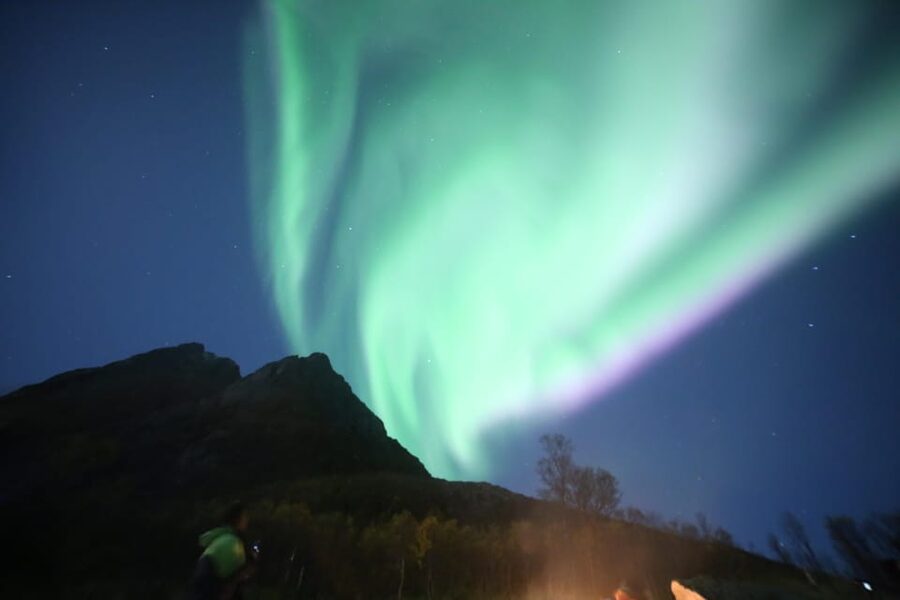 Aurora Optimum: Best 3-Night Forecast - Warm-ups, campfire moments, and the Burger surprise