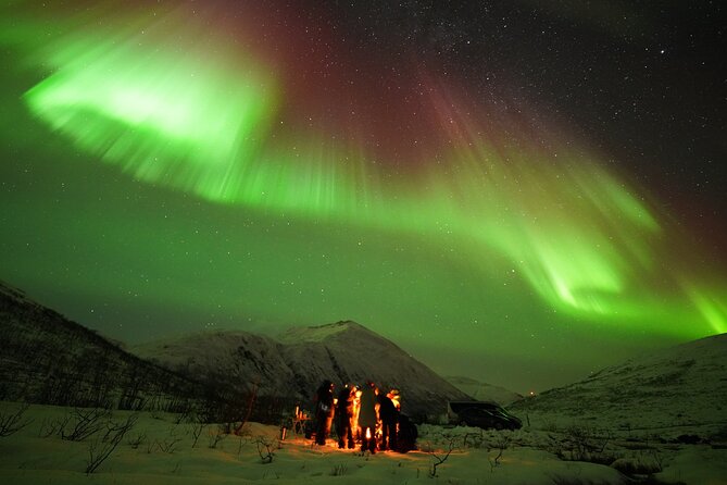Aurora tour with free portrait and bonfire - Stop Strategy: Why the Tour May Move, Pause, or Run Longer