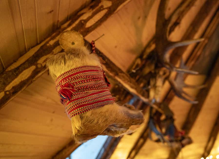 Balsfjord: Reindeer Sledding, Feeding & Sámi Culture - Feeding 400+ reindeer: what you should expect at the trough