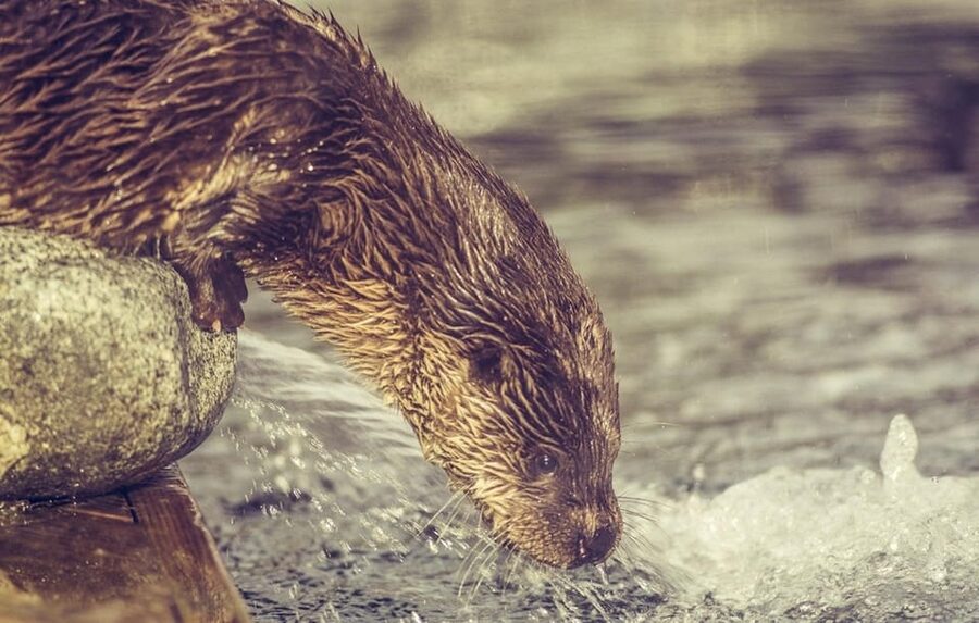 Bergen: Bergen Aquarium Entry Ticket - Where the Bergen Aquarium fits in your day