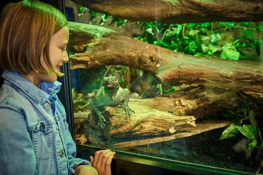 Bergen: Bergen Aquarium Entry Ticket - Feedings and presentations: the best way to learn fast