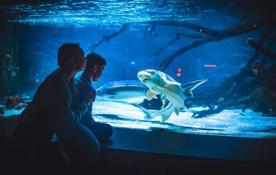 Bergen: Bergen Aquarium Entry Ticket - Your one-day plan: a full loop around sea life