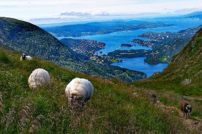 Bergen Classic Private hiking - What the guide actually adds (it is not just walking)