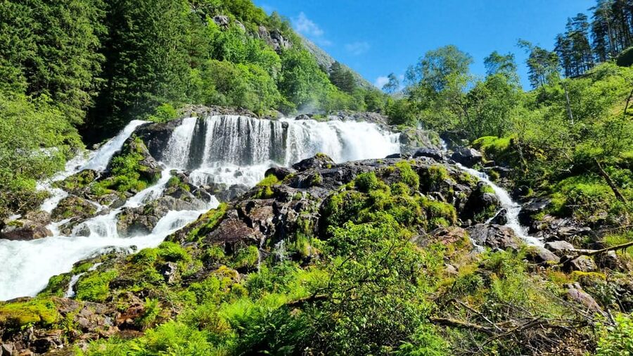 Bergen: Cruise to beautiful Rosendal by the Hardangerfjord - Bergen to Rosendal by Hardangerfjord catamaran: where the day begins