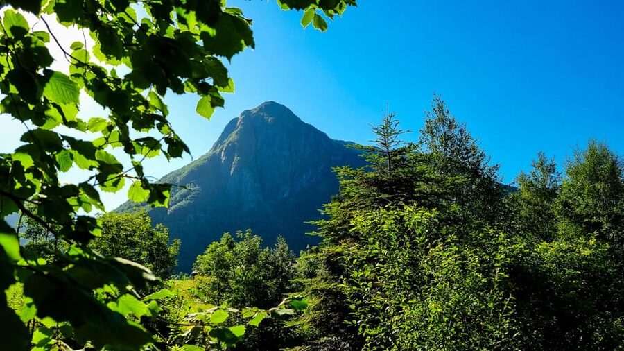 Bergen: Cruise to beautiful Rosendal by the Hardangerfjord - Hatteberg Waterfall: the easy win when you want views without a big commitment
