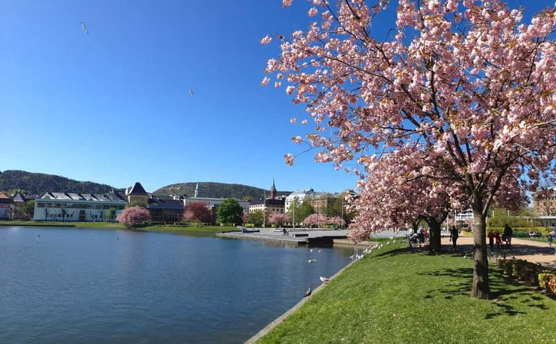 Bergen: Flam Railway, Viking Village Tour with Fjord Cruise - Stegastein, the Viewpoint Stop That Breaks Up the Day