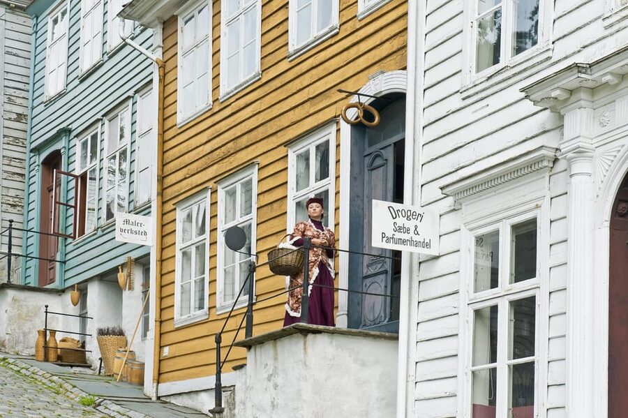 Bergen: Guided Car Tour with Old Bergen Museum & Fantoft … - Nordnes and the park view that makes Bergen feel green