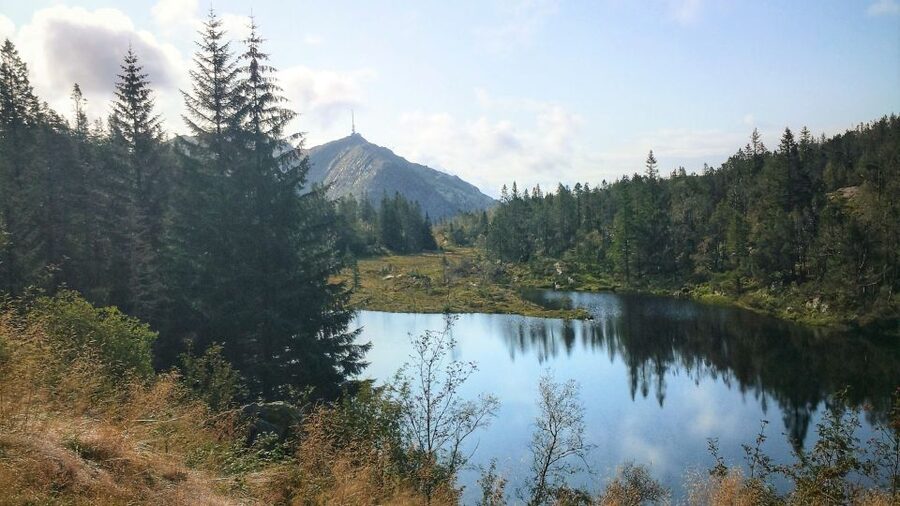 Bergen: Guided mountain hike on top of Bergen - Hike up from Mt Fløyen: the views are the point