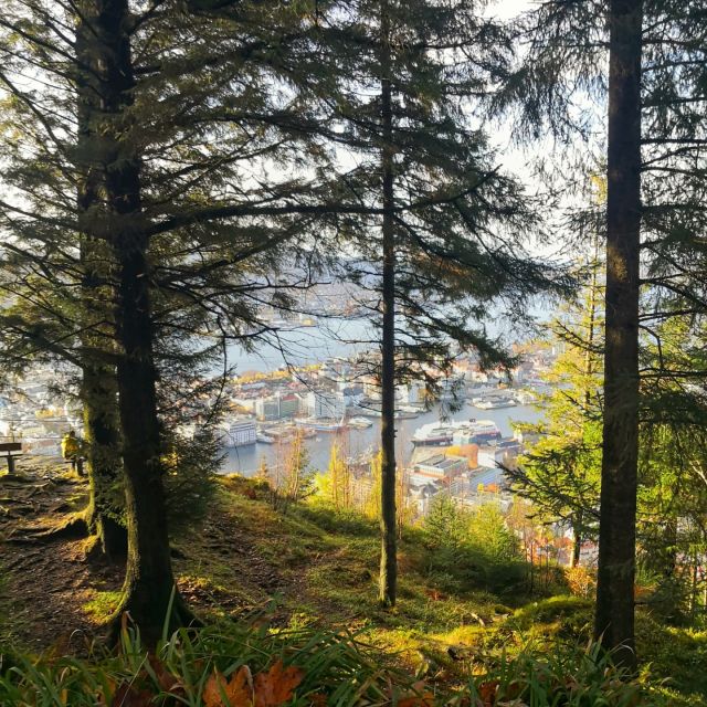 Bergen: Guided mountain hike on top of Bergen - Price and value: what you get for $194