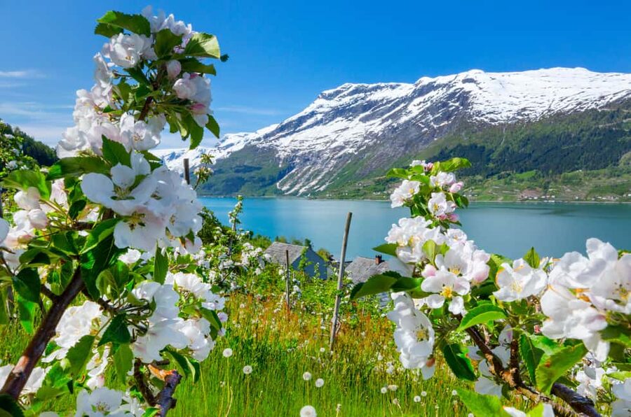 Bergen: Hardangerfjord & Waterfalls Bus Tour with Apple Pie - Key Highlights You Should Know Before You Go