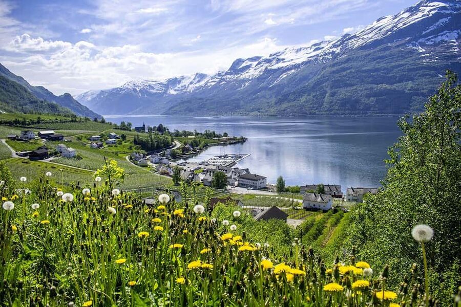 Bergen: Hardangerfjord & Waterfalls Bus Tour with Apple Pie - Apple Pie, Coffee, and the Local Apple Story You Can Taste