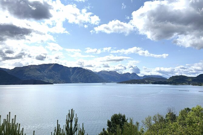 Bergen: Hardangerfjord, Waterfalls, Culture & Apple pie - Salthammeren Stone Age carvings: history with a fjord view