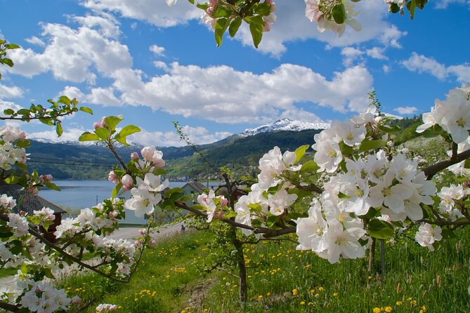 Bergen: Hardangerfjord, Waterfalls, Culture & Apple pie - Steinsdalsfossen: the waterfall path behind the cascade