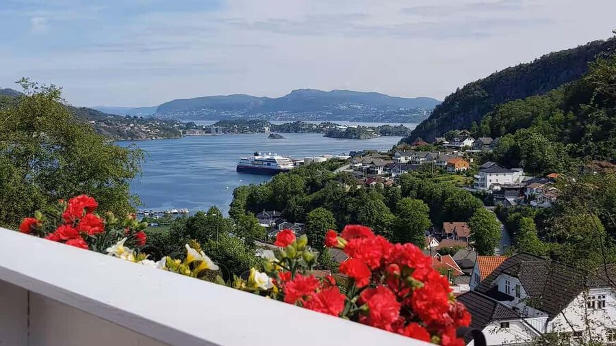 Bergen: Home-Hosted Lunch with a Local - A home-hosted Bergen lunch feels more real than any restaurant meal