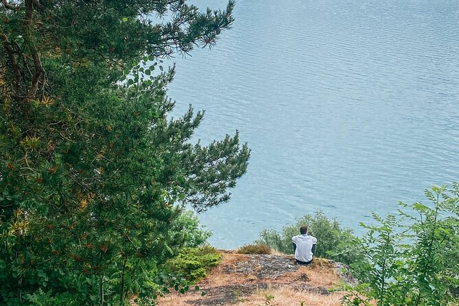Bergen in a day, Guided tour: Old Town, Waterfalls & Waffles - Stone Age carvings: the 5,000-year-old stop that adds meaning