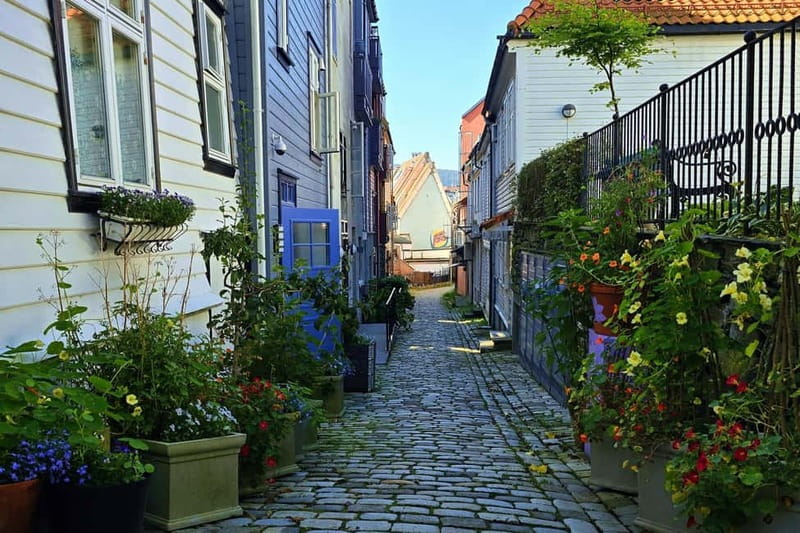Bergen Like a Local: Culture, Views, and the Stave Church - Blue Stone to Fish Market: Bergen’s everyday pulse