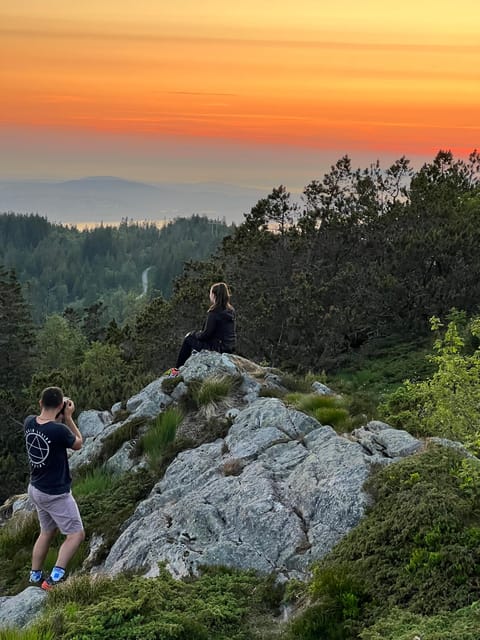Bergen Magical Nature Tour | ViFlowExperience - Key things I’d watch for on this Bergen nature tour