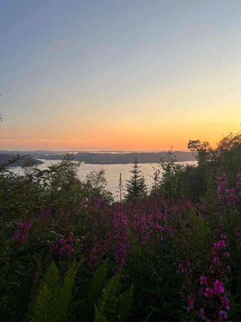Bergen Magical Nature Tour | ViFlowExperience - A 3.5-hour hike on Fløyen trails, with pace control that actually works