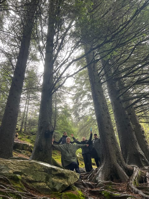 Bergen Magical Nature Tour | ViFlowExperience - Price and value for $251 per group (up to 1) in Bergen