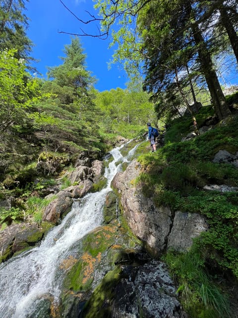 Bergen Magical Nature Tour | ViFlowExperience - Meeting point, languages, and how to start the day smoothly