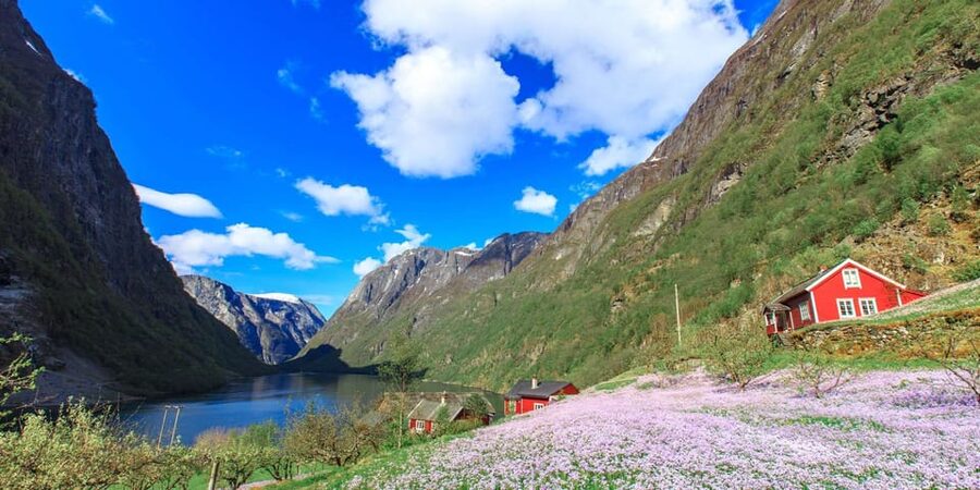 Bergen: Nærøyfjorden, Flåm, and Stegastein Guided Bus Tour - Tvindefossen: A 30-Minute Waterfall Hit With Real Scale