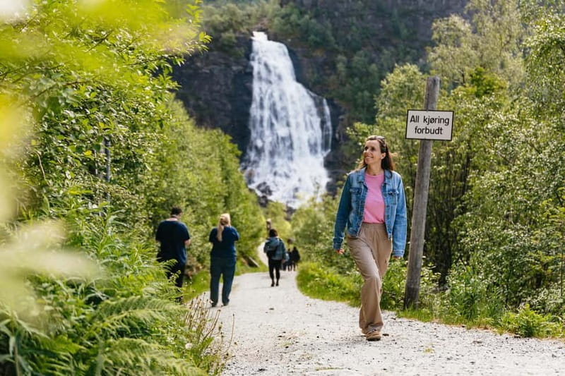 Bergen: Old Town and Waterfalls Guided Tour with Waffles - Price and Value: Is $105 Worth a Half-Day?