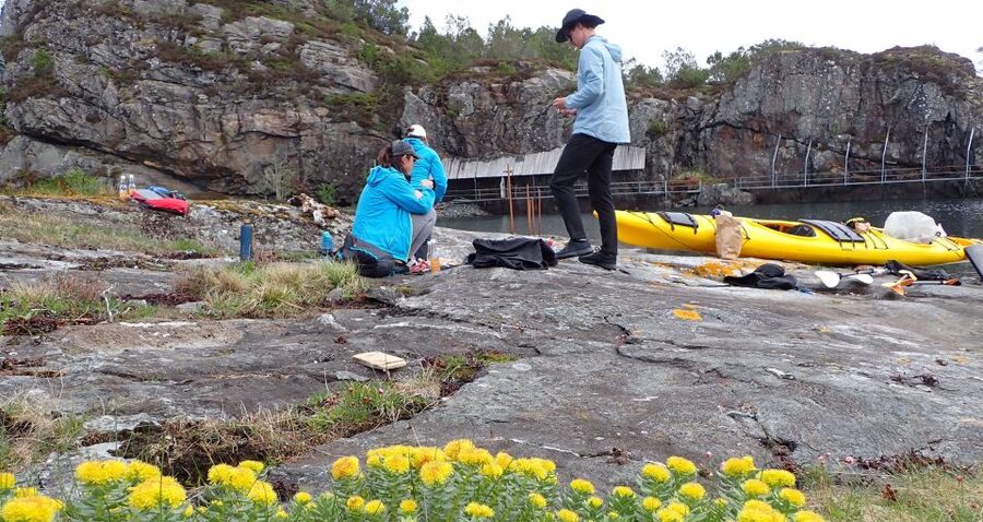Bergen: Øygarden Islets Guided Kayaking Tour - The 5-Hour Structure: What Each Chunk of Time Is Really For