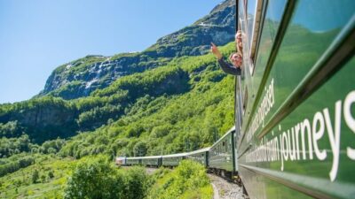Private Day Tour, Nærøyfjord Cruise and Flåm Railway