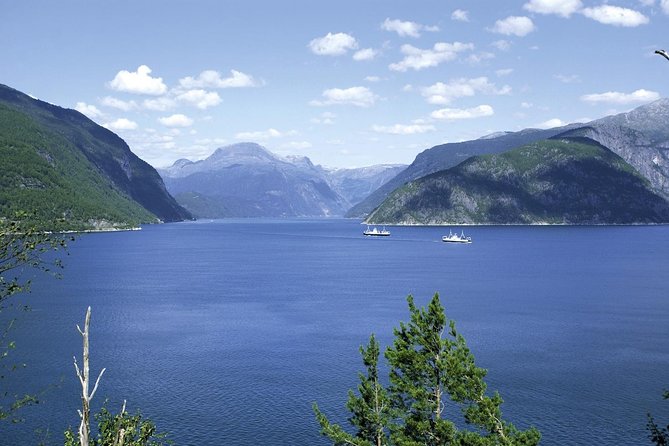 Bergen: Private Full-Day Roundtrip to Hardangerfjord with cruise - Vøringfossen: Norway’s Biggest Waterfall, Up Close