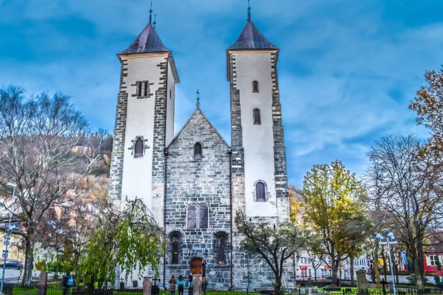 Bergen: Private Guided City Sightseeing Tour - Optional detours: Mount Floyen funicular and Edvard Grieg’s Troldhaugen