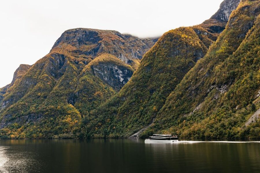 Bergen: Self-Guided Round-Trip Full-Day Excursion - Switching to bus toward Gudvangen, with village scenery