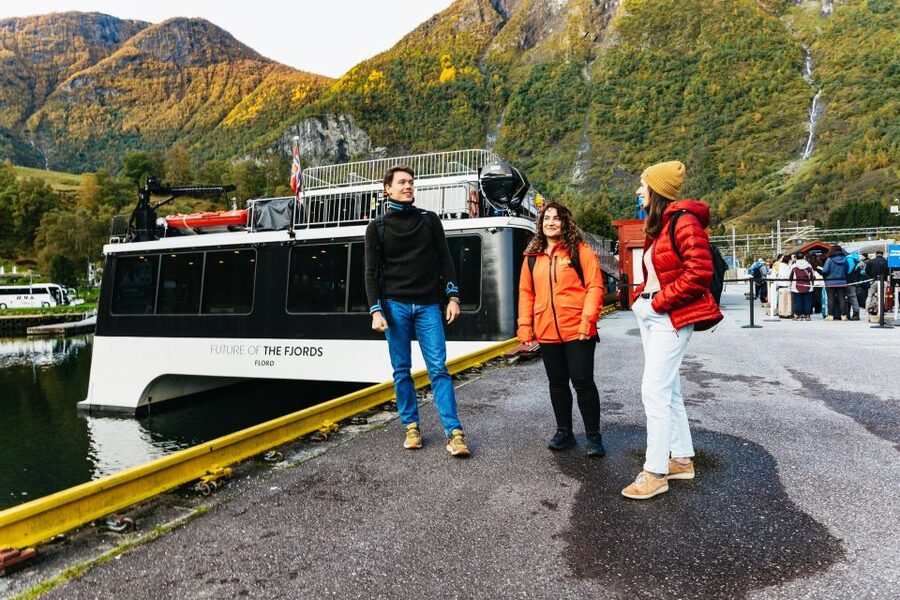 Bergen: Self-Guided Round-Trip Full-Day Excursion - Flåm Railway to Myrdal: steep grades and big windows