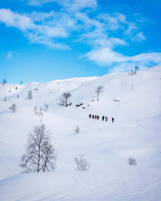 Bergen: Snowshoe Hike - The 5-minute safety briefing that actually sets you up