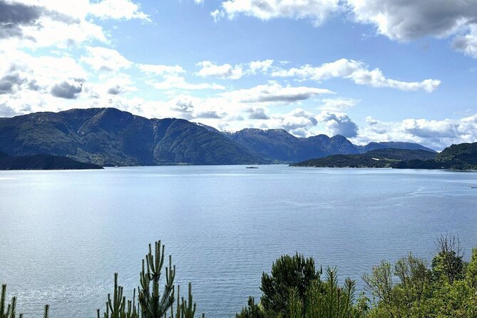 Bergen: The Power of Vøringsfossen – our most iconic waterfall - Price and what you actually get for $280.70