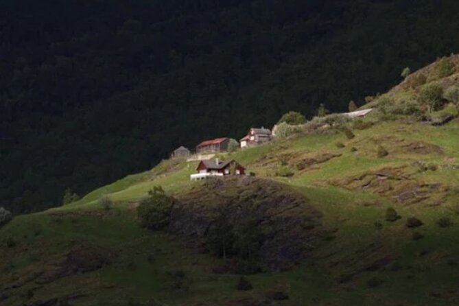 Bergen to Flam "The King of Fjords" One-Way or Round-Trip Cruise Ticket - Practical tips that make the difference (weather, snacks, power)