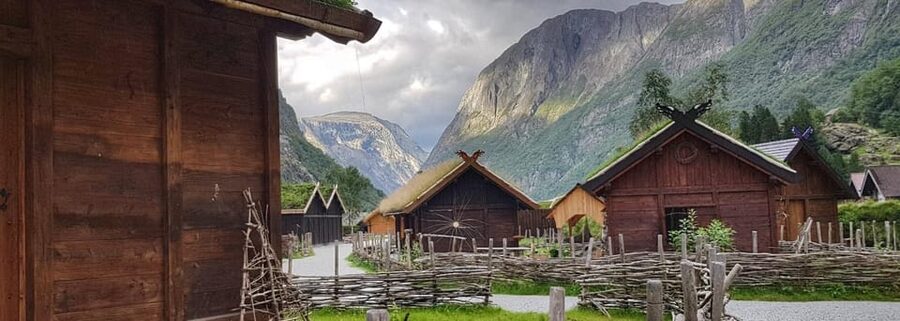 Bergen to Oslo: Private Nærøyfjord Cruise and Flåm Railway - Key highlights you should care about