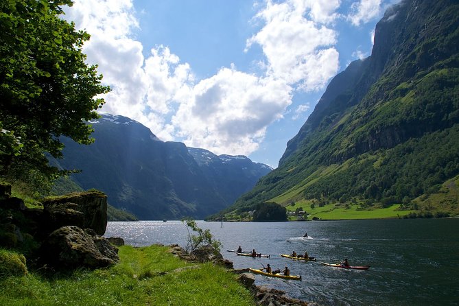 Bergen to Sognefjord Private Roudtrip with Cruise and Flasmbana - Flåm free time: lunch you control, shops you actually want to browse