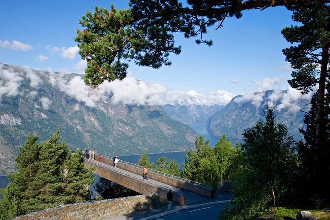 Bergen to Sognefjord Private Roudtrip with Cruise and Flasmbana - Price and value: what you’re buying at about $780 per person
