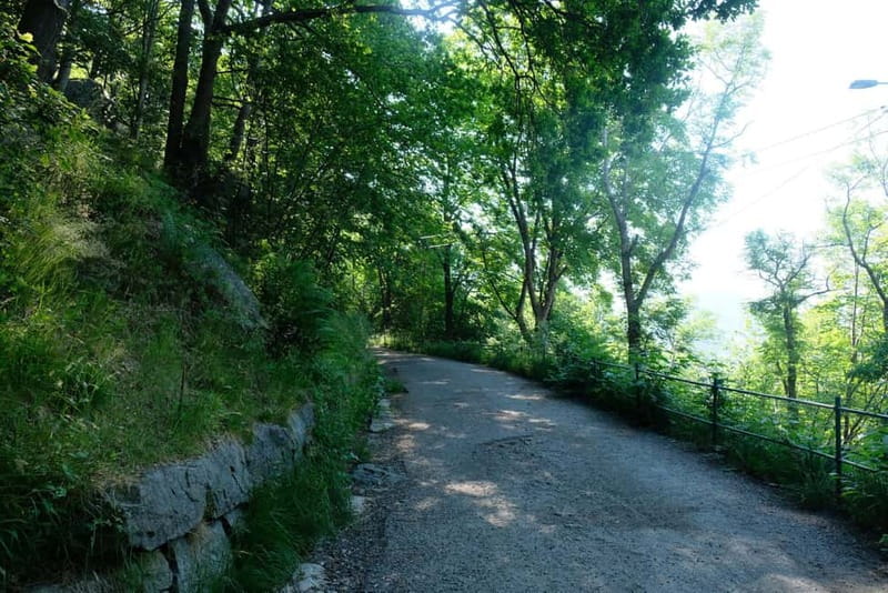 Bergen: Urban Mountain Hiking and History Tour - Who should book, and who should skip this one