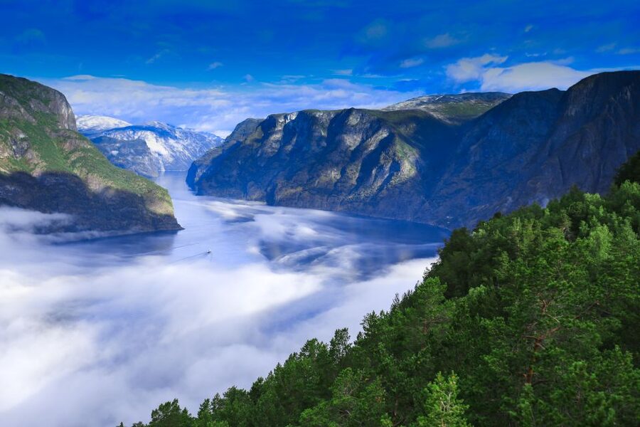 Bergen: Viking Village, Nærøyfjord Cruise & Flåm Railway - Key highlights that make this day trip work