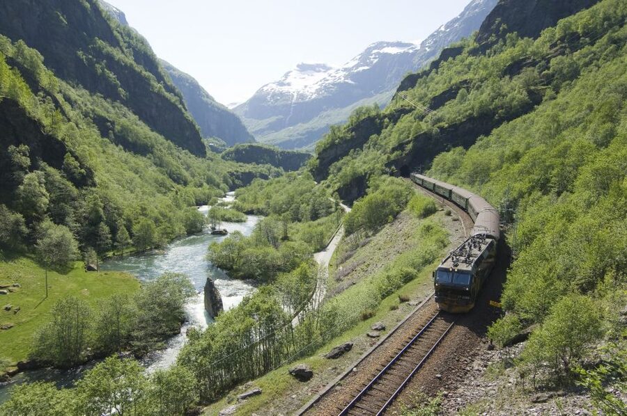 Bergen: Viking Village, Nærøyfjord Cruise & Flåm Railway - Switching at Myrdal, then the Bergen Railway to Voss