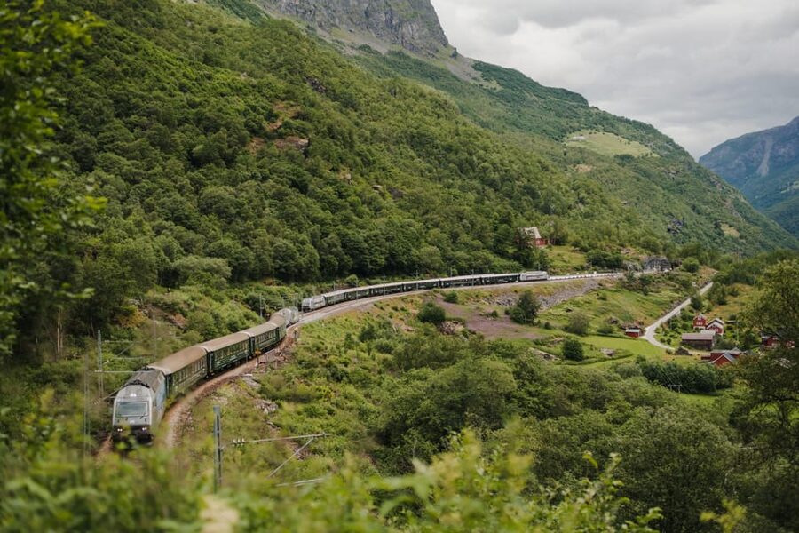 Bergen: Viking Village, Nærøyfjorden Cruise and Flåm Railway - Key things to know before you go