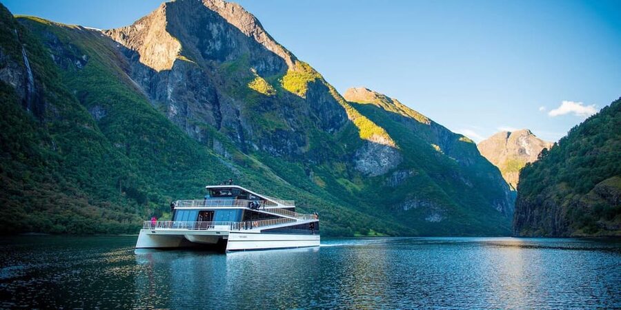 Bergen: Viking Village, Nærøyfjorden Cruise and Flåm Railway - The Nærøyfjord Cruise in an Electric Boat: Where the Day Slows Down