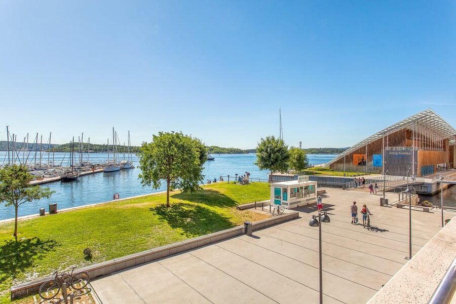 Best of Oslo: Walking Tour with a local guide - Bjørvika, the Opera House, and Oslo Fjord views