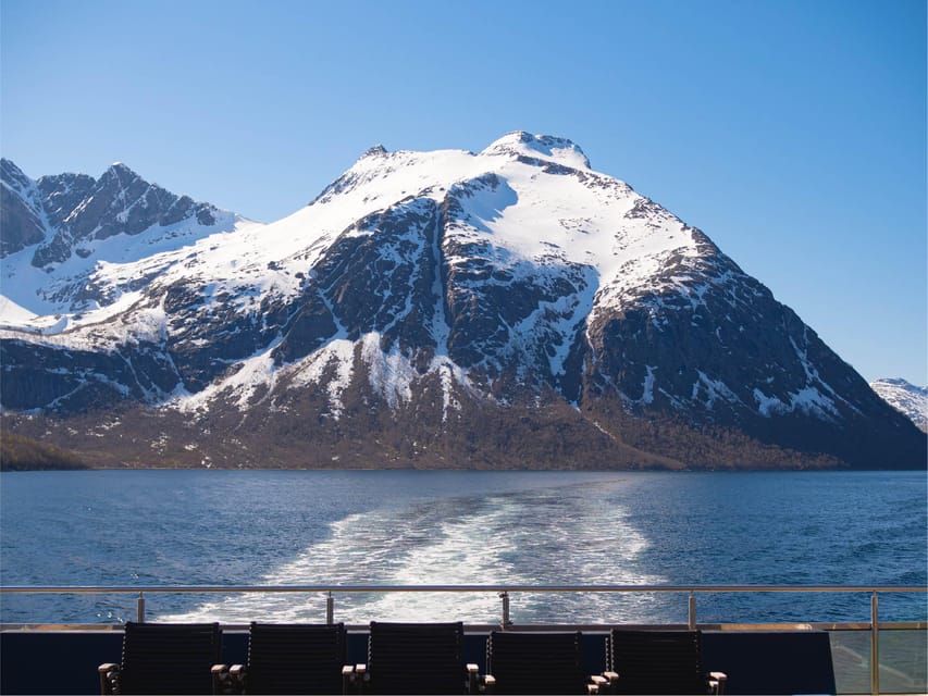 Bodø: Beiar Fjord & Saltstraument Cruise - Key highlights to know before you go