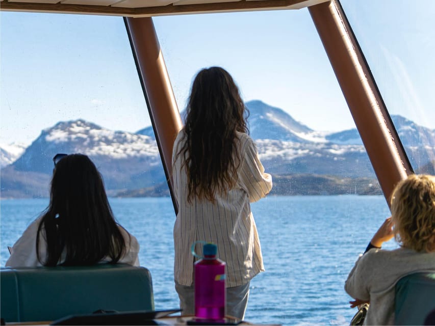 Bodø: Beiar Fjord & Saltstraument Cruise - Who this tour fits best, and who might want something else