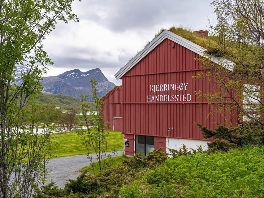 Bodø: Kjerringøy & Silent Coastal Cruise - Why a silent-style cruise from Bodø is such a good use of time