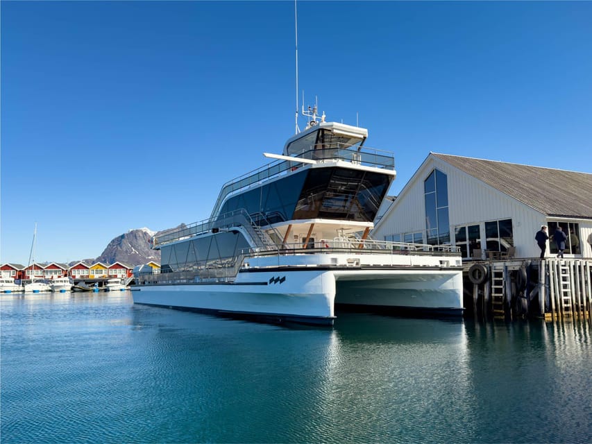 Bodø: Kjerringøy & Silent Coastal Cruise - Start at Brim Explorer Bodø: what to expect in the first 30 minutes