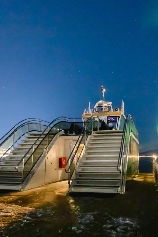 Bodø: Northern Lights Cruise - Hybrid-Electric Comfort and Big Windows for Aurora Watching