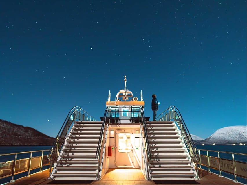 Bodø: Northern Lights Cruise - Who Should Book This Cruise From Bodø?